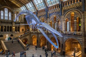 London's free museums