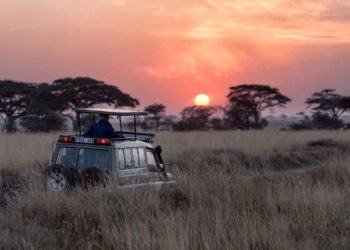 Best African Safaris