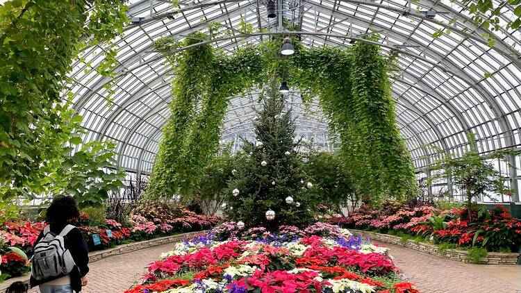 Enjoy the Winter Flower Show at the Garfield Conservatory: