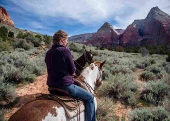 Zion Horseback Riding