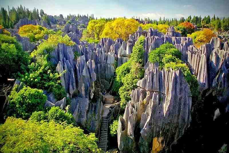  Stone Forest, China