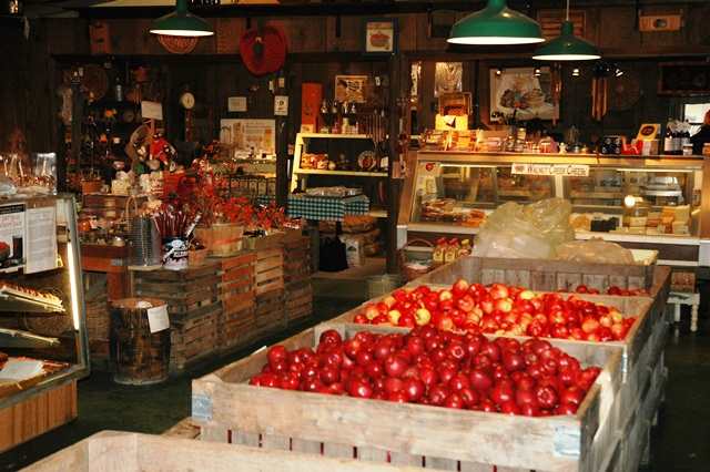 Apple Hill Orchard | Things to do in Mansfield Ohio