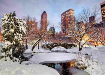 Best Places to go in January