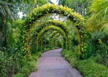 Best Botanical Gardens In The World