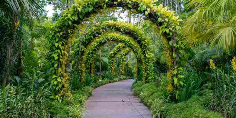 Best Botanical Gardens In The World