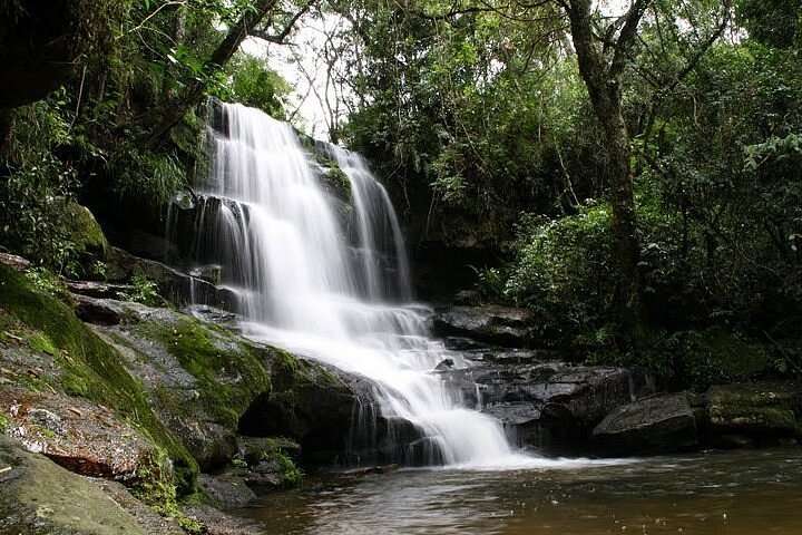 YBYCUI National Park:
Image Source: 